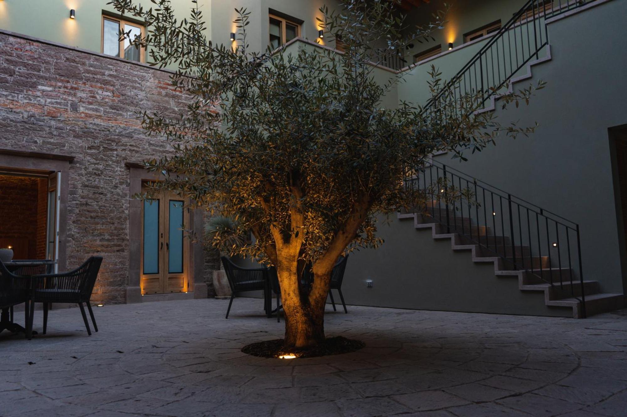 Hotel Casa Aranzazu San Luis Potosi Ngoại thất bức ảnh
