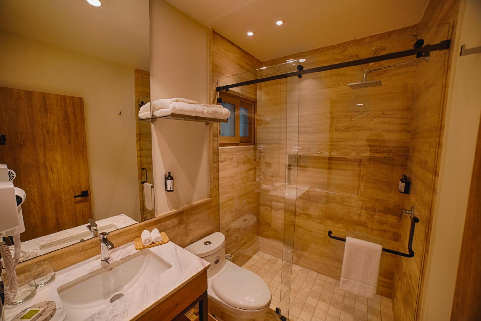 Hotel Casa Aranzazu San Luis Potosi Ngoại thất bức ảnh