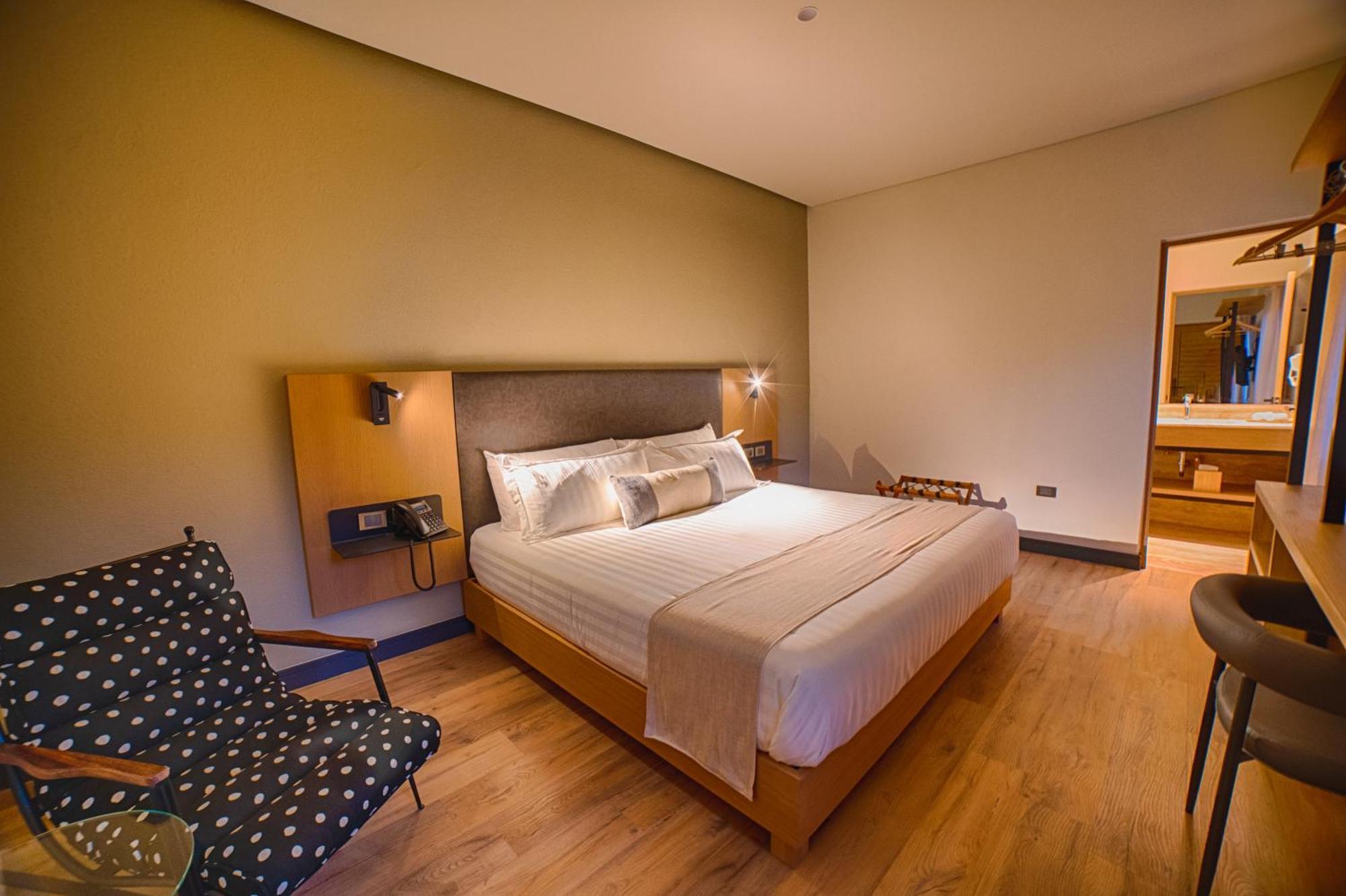 Hotel Casa Aranzazu San Luis Potosi Ngoại thất bức ảnh